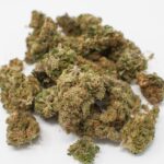 herbal-3122362_1920