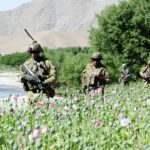 OP SLIPPER – MTF-1